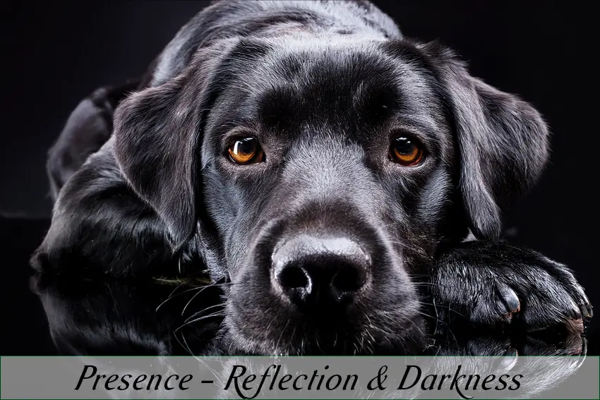 In The Depth Of Darkness